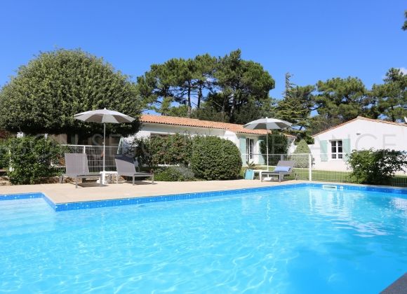 Oliviers - location à Sainte-Marie-de-Ré