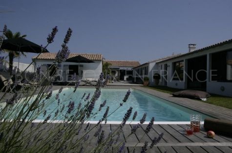 Phenix - location à Loix
